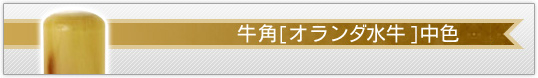 認め印/牛角[オランダ水牛] 中色（極上）