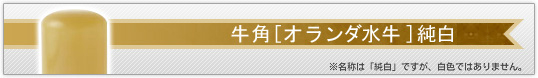 認め印/牛角[オランダ水牛] 純白（極上）